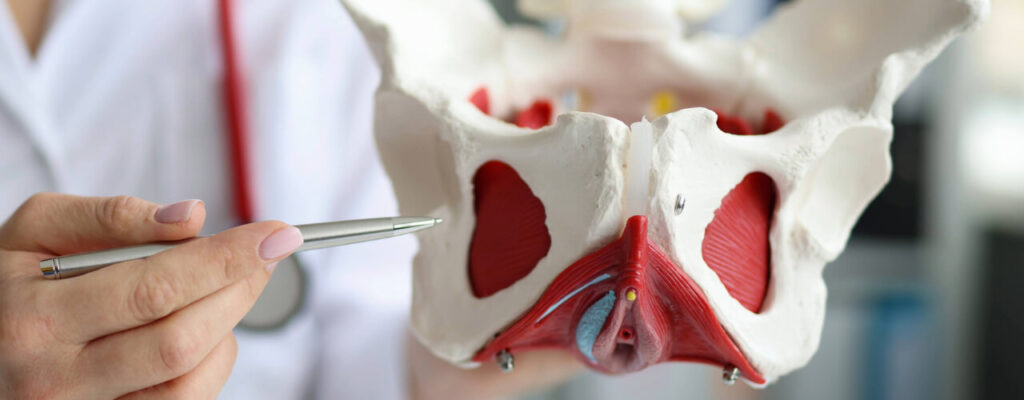 Understanding the Causes of Pelvic Organ Prolapse